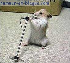 le super rat